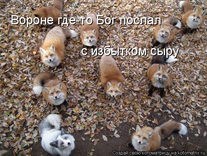 Котоматрица: Вороне где-то Бог послал с избытком сыру