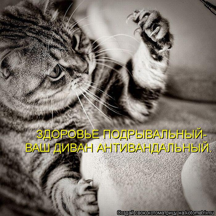 ЗДОРОВЬЕ ПОДРЫВАЛЬНЫЙ- ВАШ ДИВАН АНТИВАНДАЛЬНЫЙ.... Котоматрица: ЗДОРОВЬЕ ПОДРЫВАЛЬНЫЙ- ВАШ ДИВАН АНТИВАНДАЛЬНЫЙ.