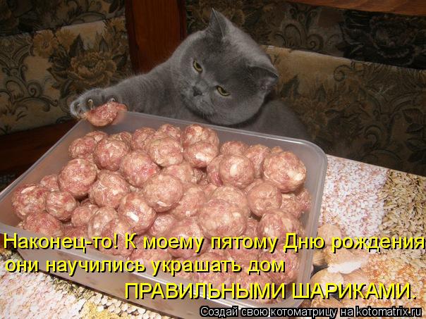 Наконец-то! К моему пятому Дню рождения они научились украшать дом ПРАВИЛЬНЫМИ ШАРИКАМИ.... Котоматрица: Наконец-то! К моему пятому Дню рождения они научились украшать дом ПРАВИЛЬНЫМИ ШАРИКАМИ.