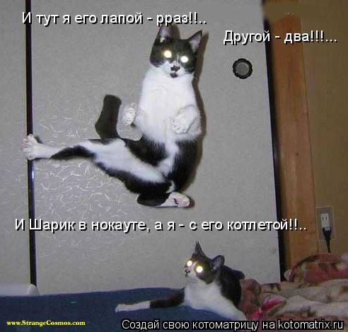 И тут я его лапой - рраз!!.. Другой - два!!!... И Шарик в нокауте, а я - с его котлетой!!..... Котоматрица: И тут я его лапой - рраз!!.. Другой - два!!!... И Шарик в нокауте, а я - с его котлетой!!..