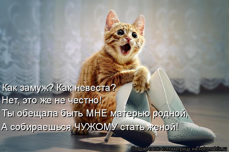 Как замуж? Как невеста? Нет, это же не честно! Ты обещала быть МНЕ матерью родной, А собираешься ЧУЖО... Котоматрица: Как замуж? Как невеста? Нет, это же не честно! Ты обещала быть МНЕ матерью родной, А собираешься ЧУЖОМУ стать женой!