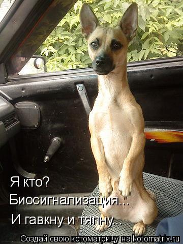 Котоматрица: Я кто? Биосигнализация... И гавкну и тяпну...