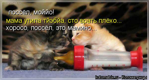 поссёл, моййо! мама утила тйэбйа, сто врать плёхо... хоросо, поссёл, это мамино...... Котоматрица: поссёл, моййо! мама утила тйэбйа, сто врать плёхо... хоросо, поссёл, это мамино...