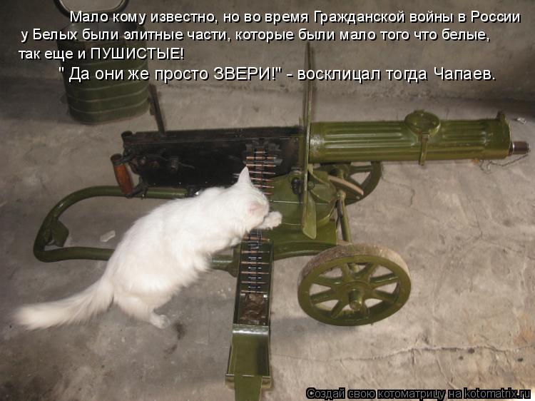 Мало кому известно, но во время Гражданской войны в России у Белых были элитные части, которые были м... Котоматрица: Мало кому известно, но во время Гражданской войны в России у Белых были элитные части, которые были мало того что белые, так еще и ПУШИСТЫЕ! "
