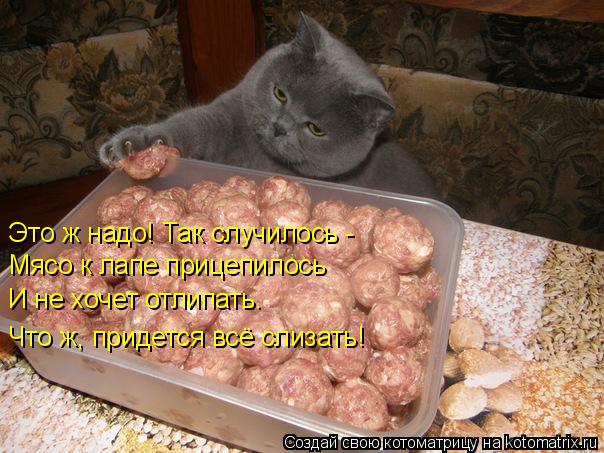 Это ж надо! Так случилось - Мясо к лапе прицепилось И не хочет отлипать. Что ж, придется всё слизат... Котоматрица: Это ж надо! Так случилось - Мясо к лапе прицепилось И не хочет отлипать. Что ж, придется всё слизать!