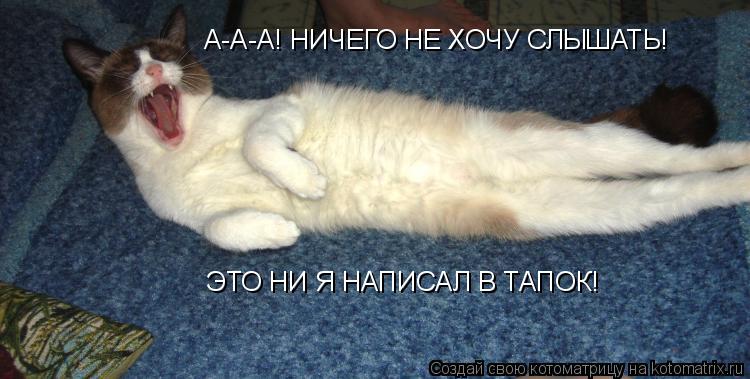 А-А-А! НИЧЕГО НЕ ХОЧУ СЛЫШАТЬ! А-А-А! НИЧЕГО НЕ ХОЧУ СЛЫШАТЬ! ЭТО НИ Я НАПИСАЛ В ТАПОК!... Котоматрица: А-А-А! НИЧЕГО НЕ ХОЧУ СЛЫШАТЬ! А-А-А! НИЧЕГО НЕ ХОЧУ СЛЫШАТЬ! ЭТО НИ Я НАПИСАЛ В ТАПОК!