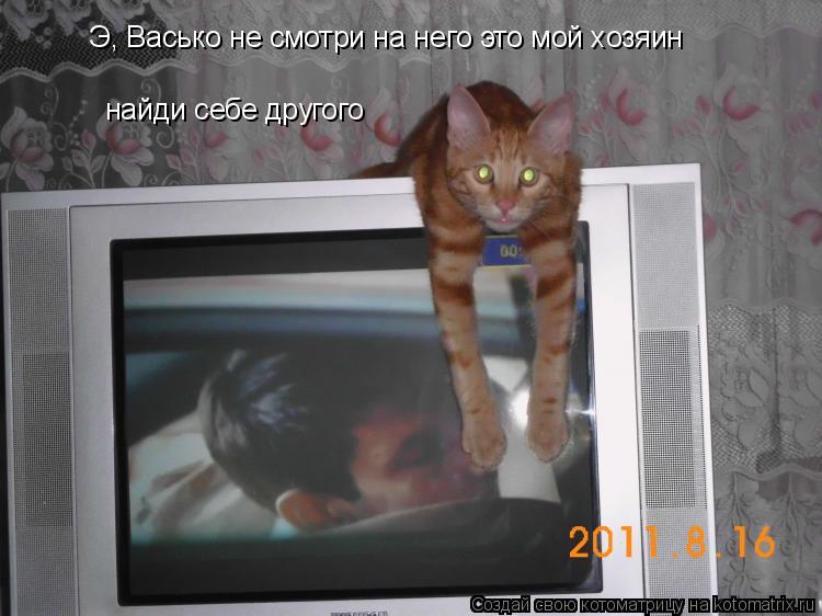 Э, Васько не смотри на него это мой хозяин найди себе другого... Котоматрица: Э, Васько не смотри на него это мой хозяин найди себе другого