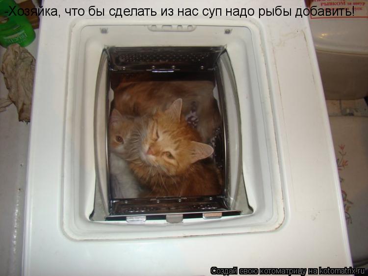 -Хозяйка, что бы сделать из нас суп надо рыбы добавить!... Котоматрица: -Хозяйка, что бы сделать из нас суп надо рыбы добавить!