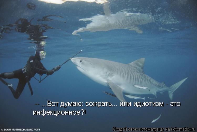 -- ...Вот думаю: сожрать... или идиотизм - это инфекционное?!... Котоматрица: -- ...Вот думаю: сожрать... или идиотизм - это инфекционное?!