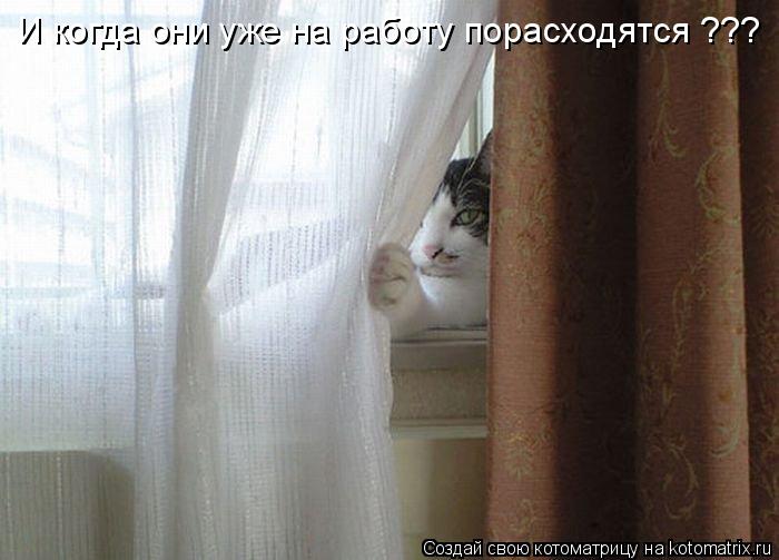 И когда они уже на работу порасходятся ???... Котоматрица: И когда они уже на работу порасходятся ???