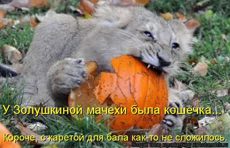 У Золушкиной мачехи была кошечка... Короче, с каретой для бала как-то не сложилось.... Котоматрица: У Золушкиной мачехи была кошечка... Короче, с каретой для бала как-то не сложилось.