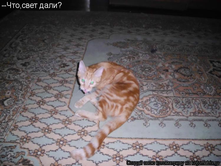 --Что,свет дали?... Котоматрица: --Что,свет дали?