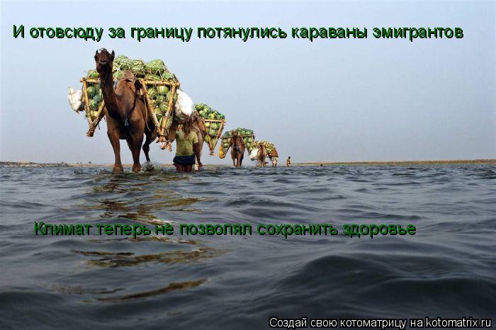 Котоматрица: И отовсюду за границу потянулись караваны эмигрантов Климат теперь не позволял сохранить здоровье