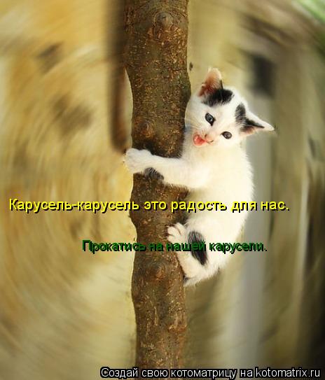 Котоматрица: Прокатись на нашей карусели. Карусель-карусель это радость для нас.