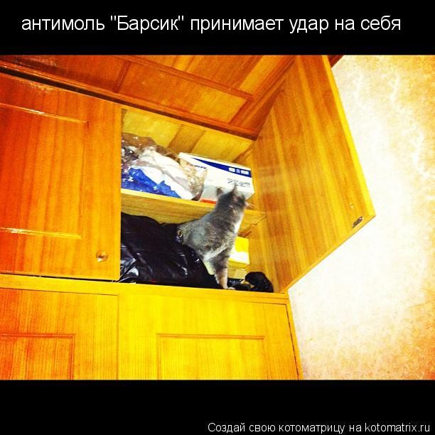 антимоль "Барсик" принимает удар на себя... Котоматрица: антимоль "Барсик" принимает удар на себя