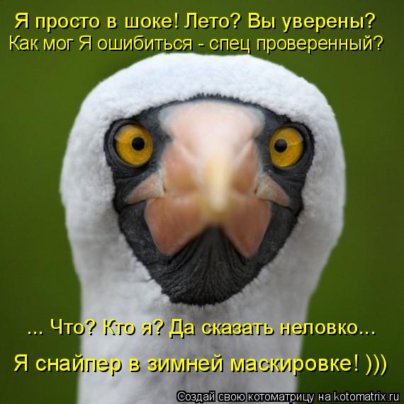 Я просто в шоке! Лето? Вы уверены? Как мог Я ошибиться - спец проверенный? ... Что? Кто я? Да сказа... Котоматрица: Я просто в шоке! Лето? Вы уверены? Как мог Я ошибиться - спец проверенный? ... Что? Кто я? Да сказать неловко... Я снайпер в зимней маскировке! )))