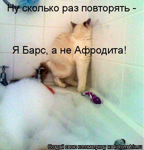 Ну сколько раз повторять - Я Барс, а не Афродита!... Котоматрица: Ну сколько раз повторять - Я Барс, а не Афродита!