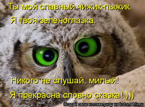 Ты мой славный чижик-пыжик. Я твоя зеленоглазка. Никого не слушай, милый! Я прекрасна словно сказк... Котоматрица: Ты мой славный чижик-пыжик. Я твоя зеленоглазка. Никого не слушай, милый! Я прекрасна словно сказка! )))