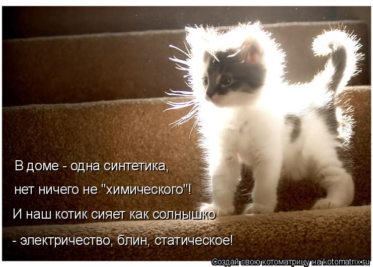 Котоматрица: В доме - одна синтетика,  нет ничего не "химического"! И наш котик сияет как солнышко  - электричество, блин, статическое!
