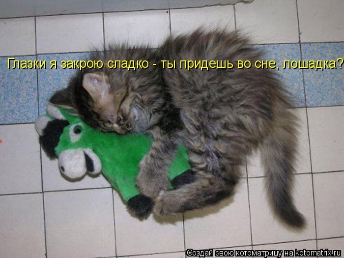 Котоматрица: Глазки я закрою сладко - ты придешь во сне, лошадка?