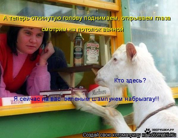 А теперь откинутую голову поднимаем, открываем глаза смотрим на потолок ванной Кто здесь? Я сейчас на... Котоматрица: А теперь откинутую голову поднимаем, открываем глаза смотрим на потолок ванной Кто здесь? Я сейчас на вас зеленым шампунем набрызгау!!