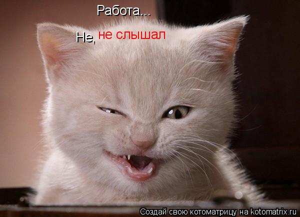 Работа... Не, не слышал... Котоматрица: Работа... Не, не слышал