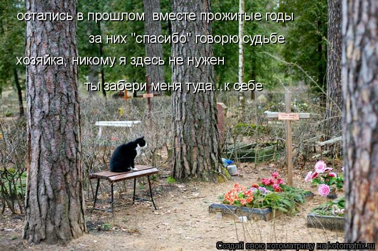 хозяйка, никому я здесь не нужен ты забери меня туда...к себе за них "спасибо" говорю судьбе остались... Котоматрица: хозяйка, никому я здесь не нужен ты забери меня туда...к себе за них "спасибо" говорю судьбе остались в прошлом вместе прожитые годы