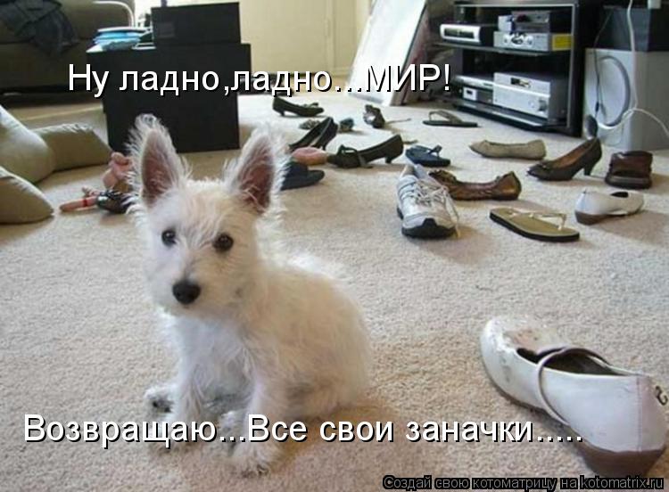Ну ладно,ладно...МИР! Возвращаю...Все свои заначки........ Котоматрица: Ну ладно,ладно...МИР! Возвращаю...Все свои заначки.....