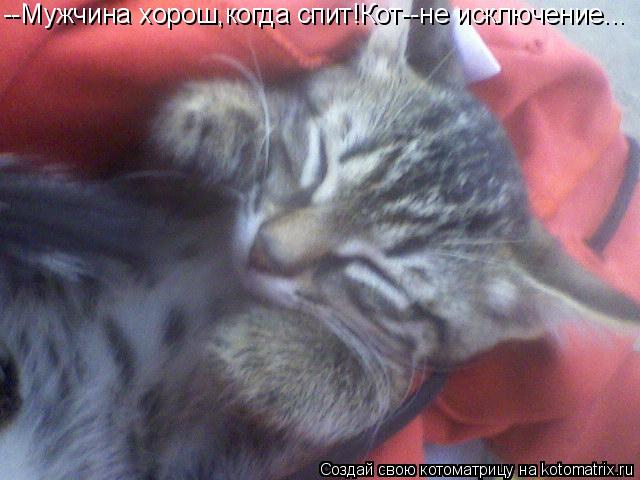 --Мужчина хорош,когда спит!Кот--не исключение...... Котоматрица: --Мужчина хорош,когда спит!Кот--не исключение...