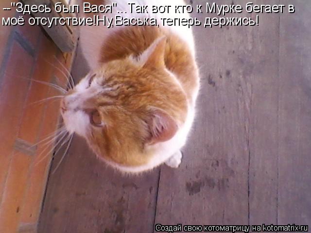 --"Здесь был Вася"...Так вот кто к Мурке бегает в моё отсутствие!Ну,Васька,теперь держись!... Котоматрица: --"Здесь был Вася"...Так вот кто к Мурке бегает в моё отсутствие!Ну,Васька,теперь держись!