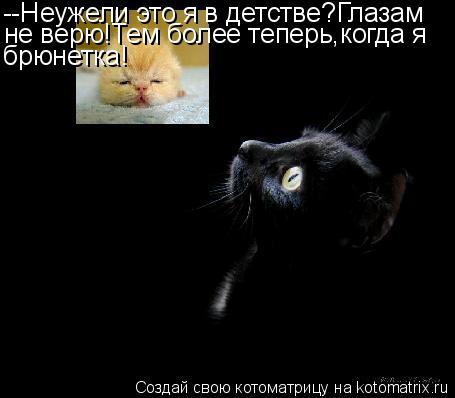 Котоматрица: --Неужели это я в детстве?Глазам не верю!Тем более теперь,когда я брюнетка!