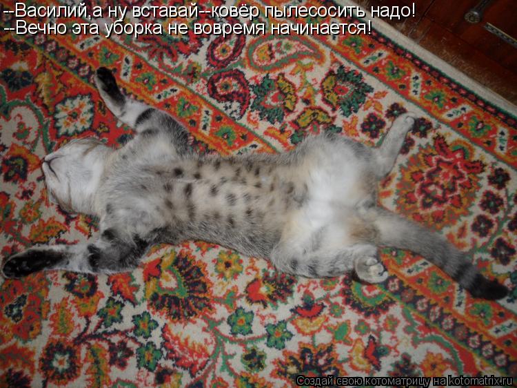 --Василий,а ну вставай--ковёр пылесосить надо! --Вечно эта уборка не вовремя начинается!... Котоматрица: --Василий,а ну вставай--ковёр пылесосить надо! --Вечно эта уборка не вовремя начинается!