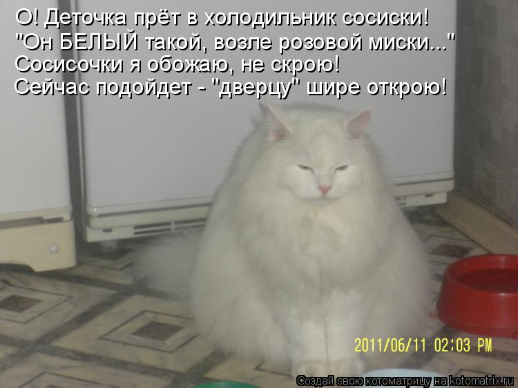 О! Деточка прёт в холодильник сосиски! "Он БЕЛЫЙ такой, возле розовой миски..." Сосисочки я обожаю, н... Котоматрица: О! Деточка прёт в холодильник сосиски! "Он БЕЛЫЙ такой, возле розовой миски..." Сосисочки я обожаю, не скрою! Сейчас подойдет - "дверцу" шире отк