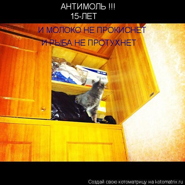 АНТИМОЛЬ !!! 15-ЛЕТ И МОЛОКО НЕ ПРОКИСНЕТ И РЫБА НЕ ПРОТУХНЕТ... Котоматрица: АНТИМОЛЬ !!! 15-ЛЕТ И МОЛОКО НЕ ПРОКИСНЕТ И РЫБА НЕ ПРОТУХНЕТ