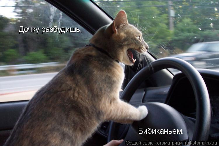 Котоматрица: Дочку разбудишь. Бибиканьем.