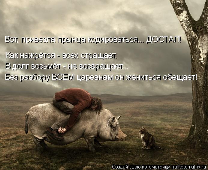 Котоматрица: Вот, привезла прынца кодироваться... ДОСТАЛ! Как нажрётся - всех стращает. В долг возьмёт - не возвращает... Без разбору ВСЕМ царевнам он женит