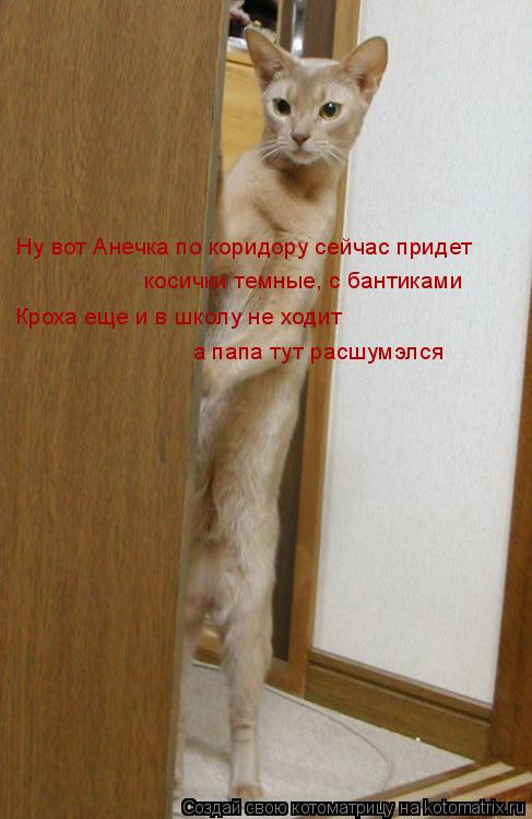 Ну вот Анечка по коридору сейчас придет косички темные, с бантиками Кроха еще и в школу не ходит а па... Котоматрица: Ну вот Анечка по коридору сейчас придет косички темные, с бантиками Кроха еще и в школу не ходит а папа тут расшумэлся