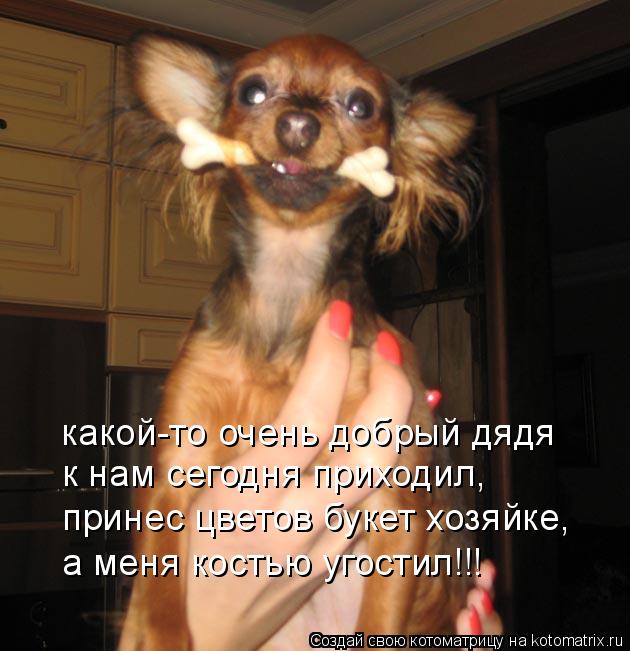 какой-то очень добрый дядя к нам сегодня приходил, принес цветов букет хозяйке, а меня костью угостил... Котоматрица: какой-то очень добрый дядя к нам сегодня приходил, принес цветов букет хозяйке, а меня костью угостил!!!