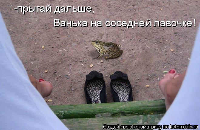 Котоматрица: -прыгай дальше, Ванька на соседней лавочке!