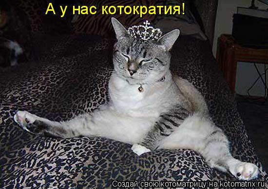 Котоматрица: А у нас котократия!