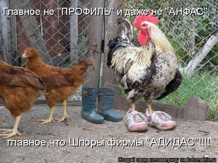 Главное не "ПРОФИЛЬ" и даже не "АНФАС", главное,что Шпоры фирмы "АДИДАС"!!!!... Котоматрица: Главное не "ПРОФИЛЬ" и даже не "АНФАС", главное,что Шпоры фирмы "АДИДАС"!!!!