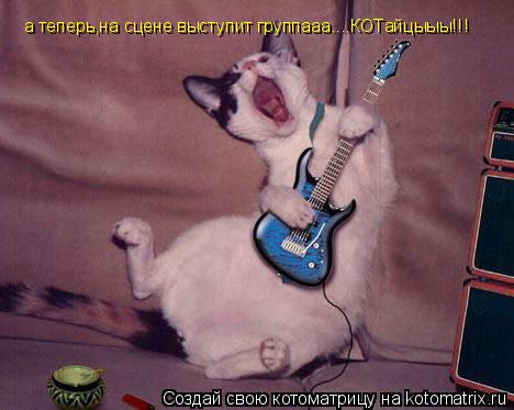 а теперь,на сцене выступит группааа....КОТайцыыы!!!... Котоматрица: а теперь,на сцене выступит группааа....КОТайцыыы!!!
