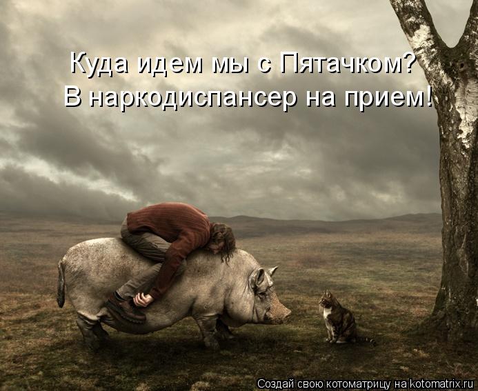 Куда идем мы с Пятачком? В наркодиспансер на прием!... Котоматрица: Куда идем мы с Пятачком? В наркодиспансер на прием!