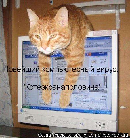Новейший компьютерный вирус: "Котеэкранаполовина"... Котоматрица: Новейший компьютерный вирус: "Котеэкранаполовина"