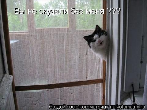 Вы не скучали без меня ???... Котоматрица: Вы не скучали без меня ???