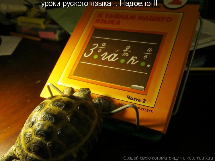 уроки руского языка... Надоело!!!... Котоматрица: уроки руского языка... Надоело!!!