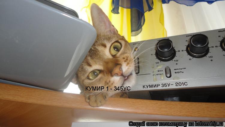 КУМИР 1 - 345УС... Котоматрица: КУМИР 1 - 345УС