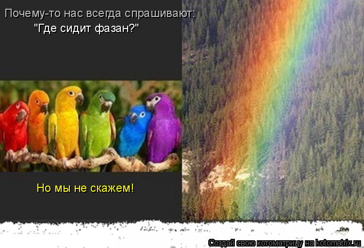 Котоматрица: "Где сидит фазан?" Почему-то нас всегда спрашивают: Но мы не скажем!