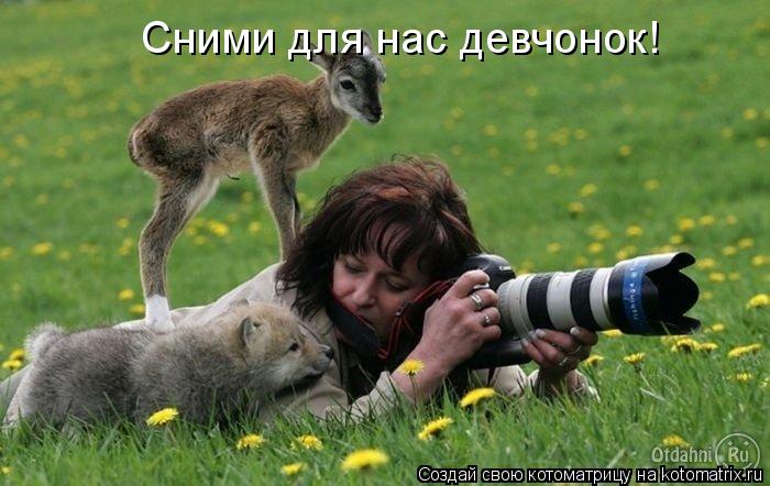 Котоматрица: Сними для нас девчонок!