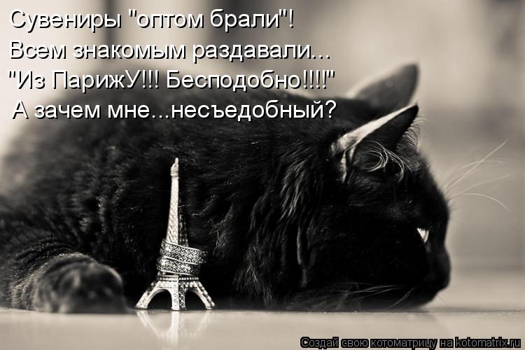 Сувениры "оптом брали"! Всем знакомым раздавали... "Из ПарижУ!!! Бесподобно!!!!" А зачем мне...несъед... Котоматрица: Сувениры "оптом брали"! Всем знакомым раздавали... "Из ПарижУ!!! Бесподобно!!!!" А зачем мне...несъедобный?